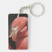 Chileense flamingo, Phoenicopterus chilensis Sleutelhanger (achterkant)