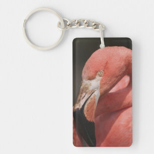 Chileense flamingo, Phoenicopterus chilensis Sleutelhanger