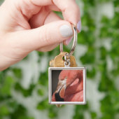 Chileense Flamingo, Phoenicopterus chilensis Sleutelhanger (Hand)
