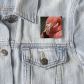 Chileense Flamingo, Phoenicopterus chilensis Vierkante Button 5,1 Cm (In situ)