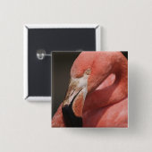 Chileense Flamingo, Phoenicopterus chilensis Vierkante Button 5,1 Cm (Voorkant /achterkant)
