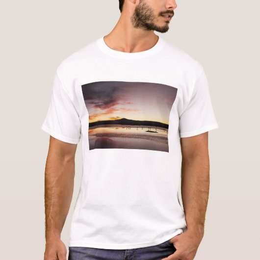 Chileense Flamingo T-shirt (Voorkant)