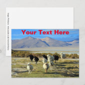  Chileense Kaart (Voorkant / Achterkant)