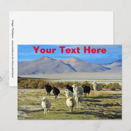  Chileense Kaart (Voorkant / Achterkant)