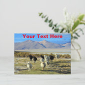  Chileense Kaart (Staand voorkant)