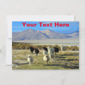  Chileense Kaart (Voorkant)