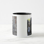 Chileense mariniers mok (Midden)