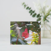 Chileense nationale ventilator briefkaart (Staand voorkant)