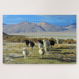 Chileense schapen, 1014-pc legpuzzel