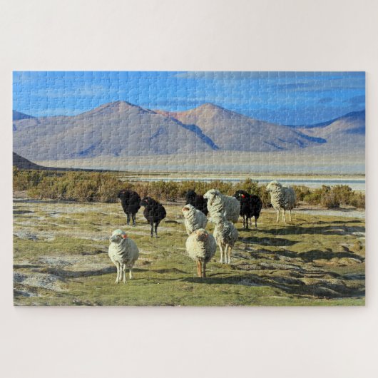 Chileense schapen, 1014-pc legpuzzel (Horizontaal)