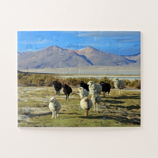 Chileense schapen 30-pc legpuzzel (Horizontaal)