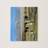 Chileense schapen legpuzzel (Verticaal)