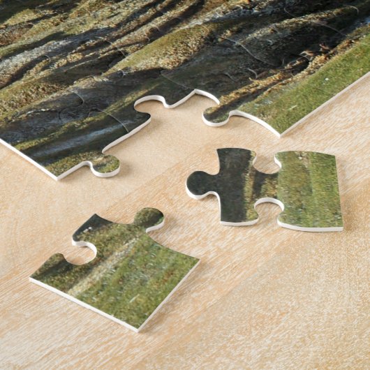 Chileense schapen met 520 pc legpuzzel (Zijkant)