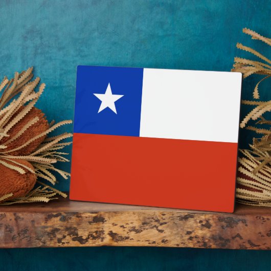 Chileense vlag fotoplaat (Zijkant)