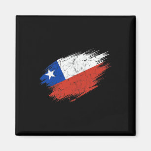 Chileense voetbalfan gescheurde vlag nationale tro magneet