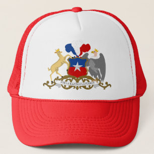 Chileense wapenstilstand trucker pet