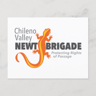 Chileno Valley Newt Brigade Briefkaart