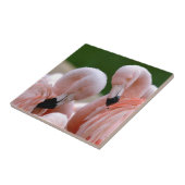 Chilensis flamingos tegeltje (Zijkant)