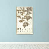 Chili 10 canvas afdruk (Insitu (Houten vloer))