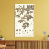 Chili 10 canvas afdruk (Insitu (Woonkamer))