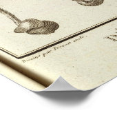 Chili 3 poster (Hoek)