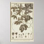 Chili 3 poster (Voorkant)