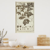 Chili 3 poster (Keuken)