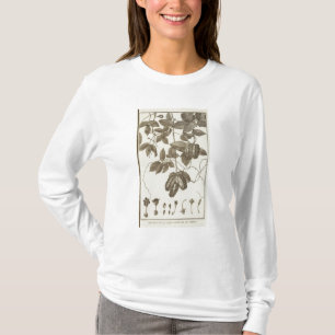 Chili 5 t-shirt