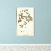 Chili 8 canvas afdruk (Insitu (Houten vloer))