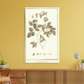 Chili 8 canvas afdruk (Insitu (Woonkamer))