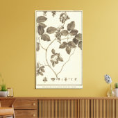 Chili 9 canvas afdruk (Insitu (Woonkamer))