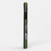 Chili, Aysen. Juveniele Australe Dwerguil Case-Mate iPhone Case (Achterkant/rechts)