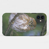 Chili, Aysen. Juvenile Autral Pygmy Owl Case-Mate iPhone Case (Achterkant (horizontaal))
