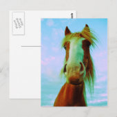 Chili Briefkaart (Voorkant / Achterkant)