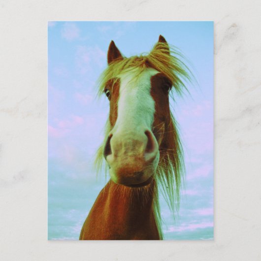 Chili Briefkaart (Voorkant)