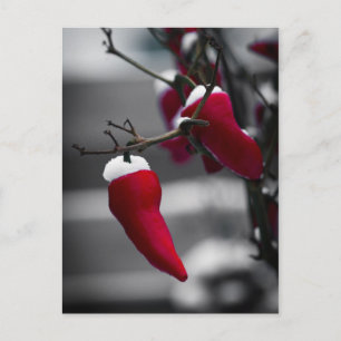 Chili Christmas Kaarten Feestdagenkaart