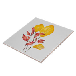 Chili en kurkuma op een keramische tegel tegeltje