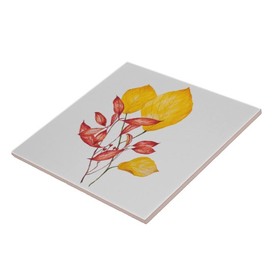 Chili en kurkuma op een keramische tegel tegeltje (Zijkant)