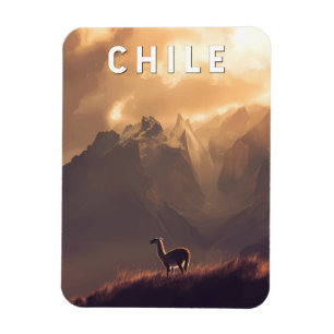 Chili Illustratie Reis Kunst Vintage Magneet