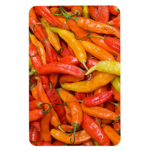 Chili Magneet