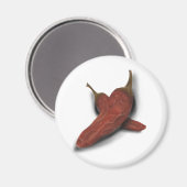 Chili Magneet (Voorkant / Achterkant)