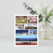 Chili - Mozaïek - Briefkaart (Staand voorkant)