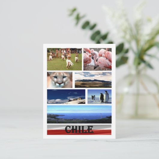 Chili - Mozaïek - Briefkaart (Staand voorkant)