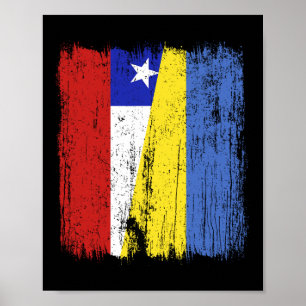 Chili Oekraine Half Vlag Chileense Oekraïense Erfg Poster