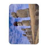 Chili, Paaseiland. De 15 Moais bij Ahu Magneet (Verticaal)