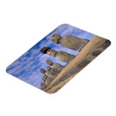 Chili, Paaseiland. De 15 Moais bij Ahu Magneet (Linkerzijde)