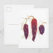 CHILI PEPERS Ansichtkaart Briefkaart (Voorkant / Achterkant)
