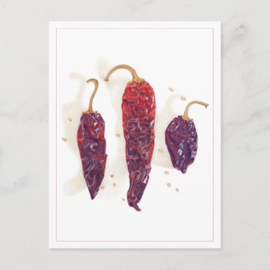 CHILI PEPERS Ansichtkaart Briefkaart (Voorkant)