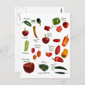 Chili Pepper ID Briefkaart (Voorkant / Achterkant)