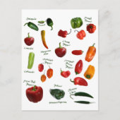 Chili Pepper ID Briefkaart (Voorkant)